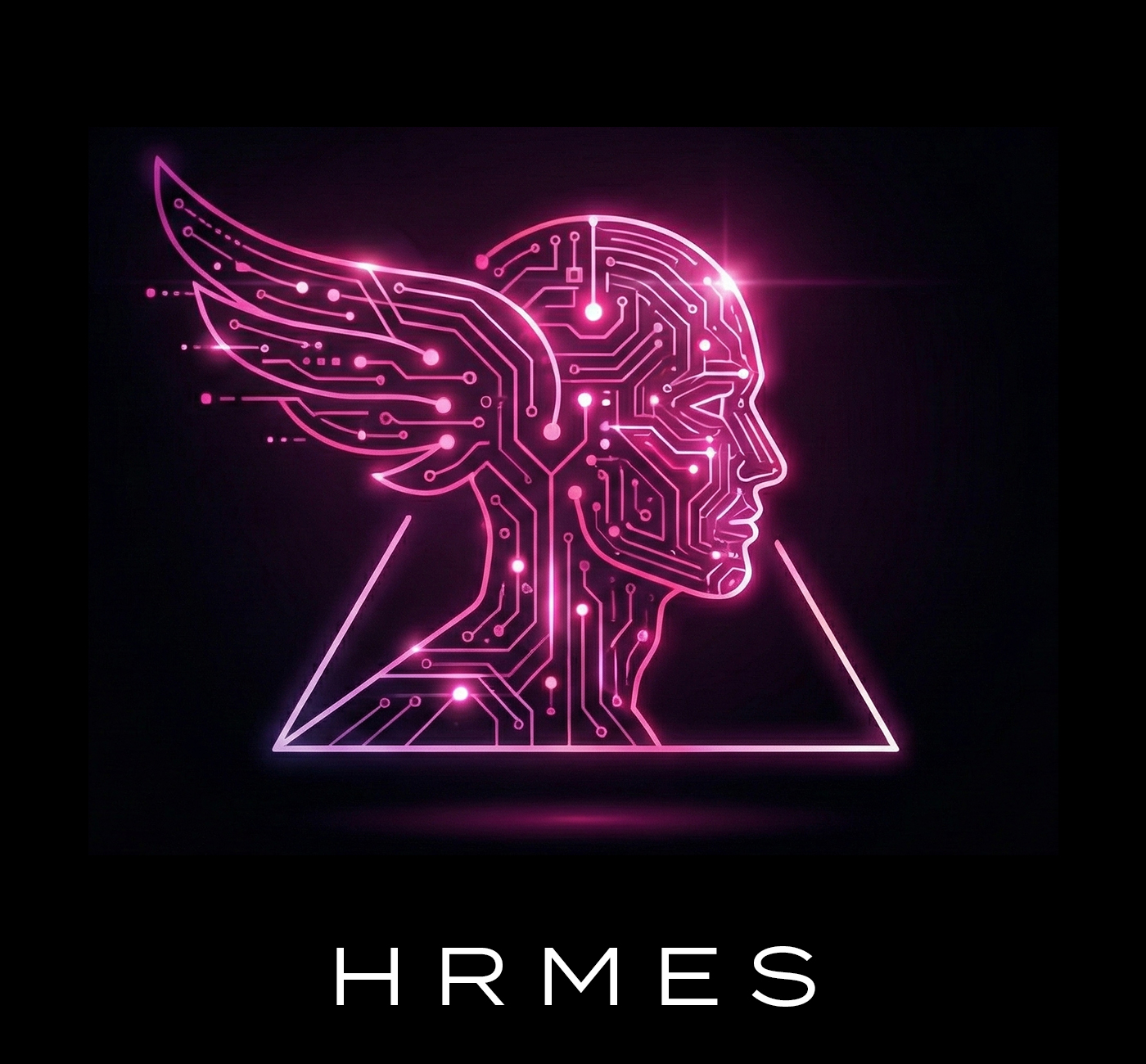 HRMES